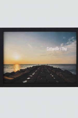 catwalk-i-thy