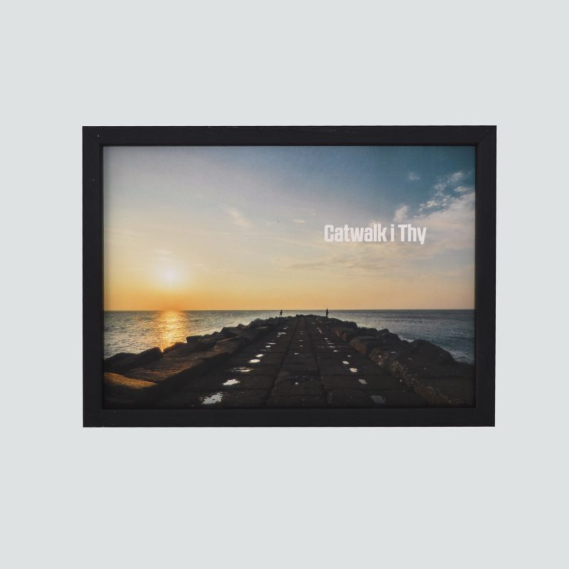 catwalk-i-thy
