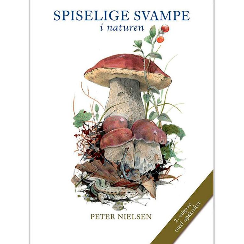 spiselige-svampe spiselige-svampe