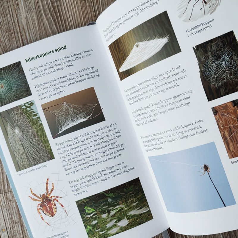 spor-i-naturen1 spor-i-naturen1