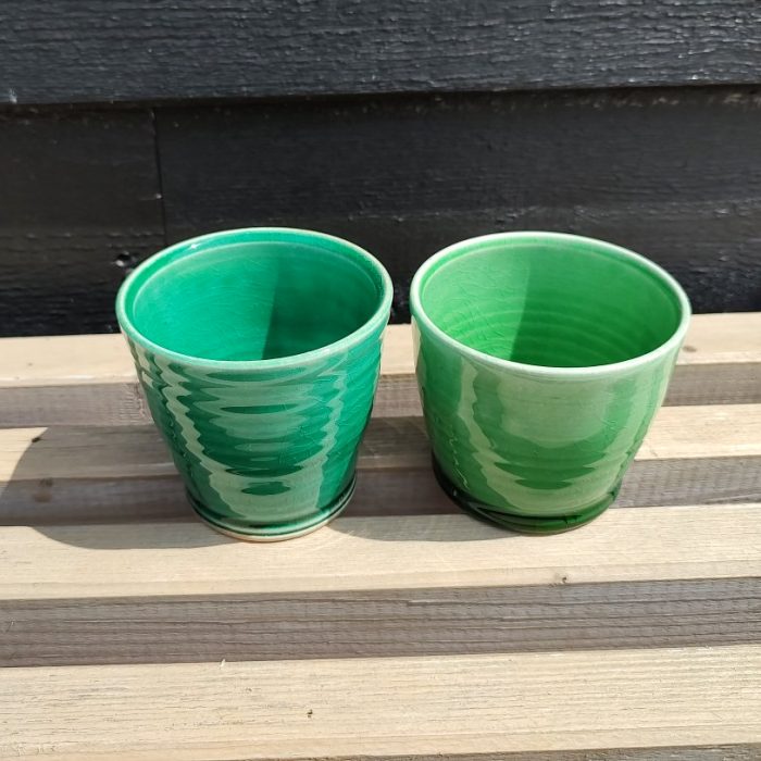 ane-schollert-cortado