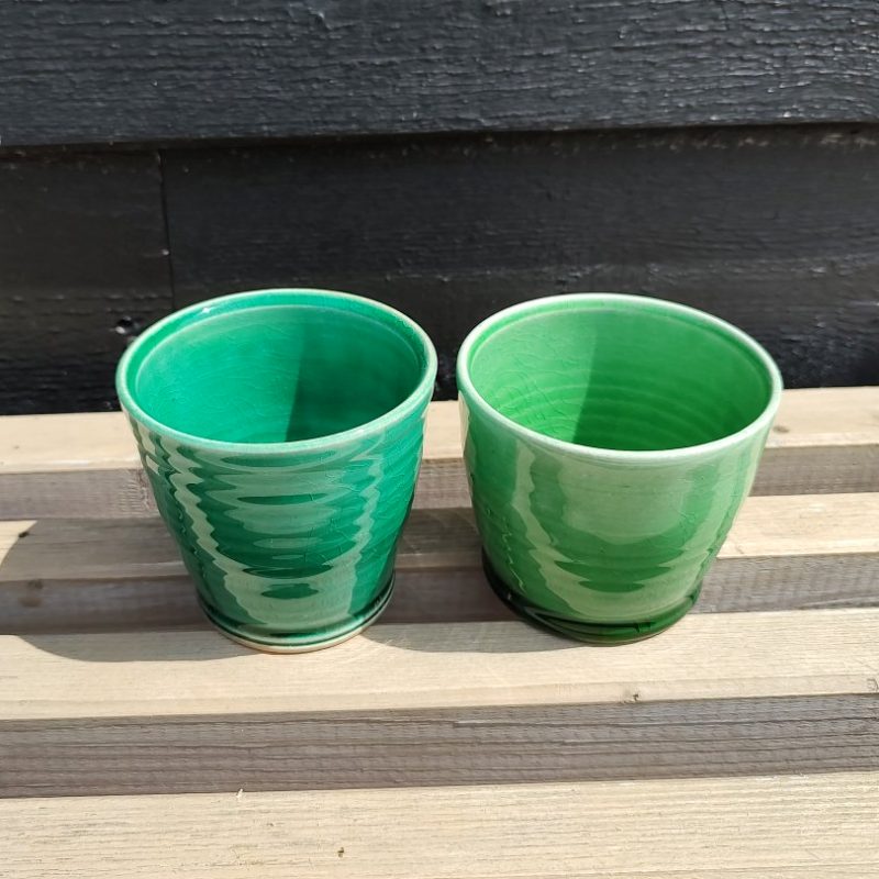 ane-schollert-cortado