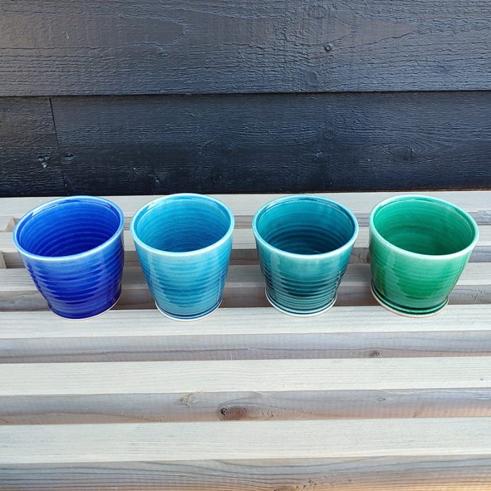 ane-schollert-cortado2