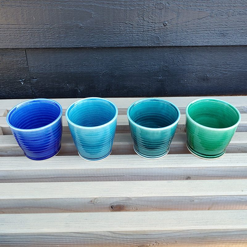 ane-schollert-cortado2