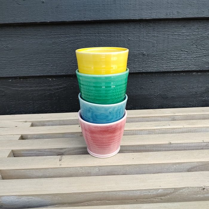 ane-schollert-cortado