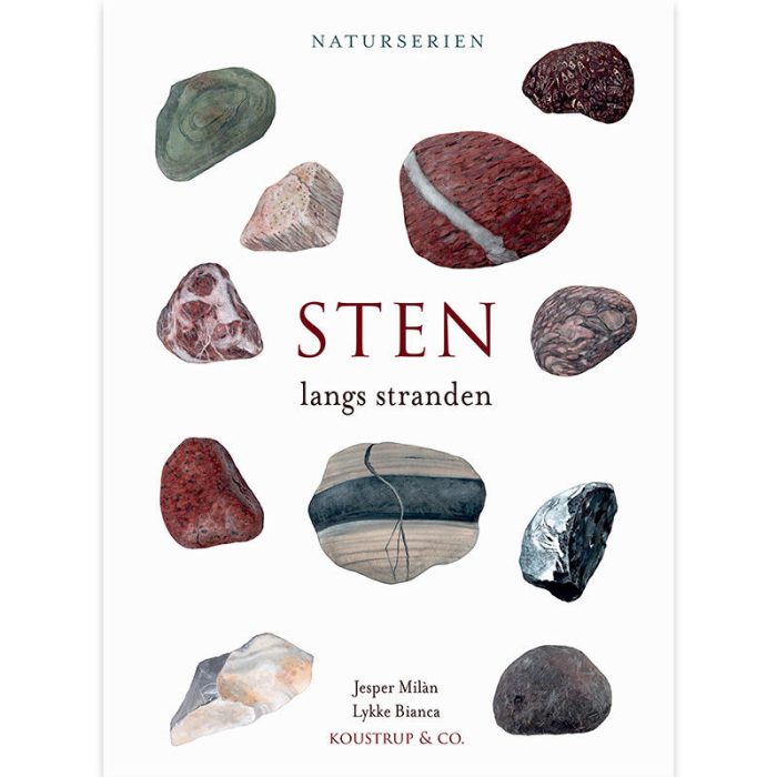 bog-sten-langs-stranden