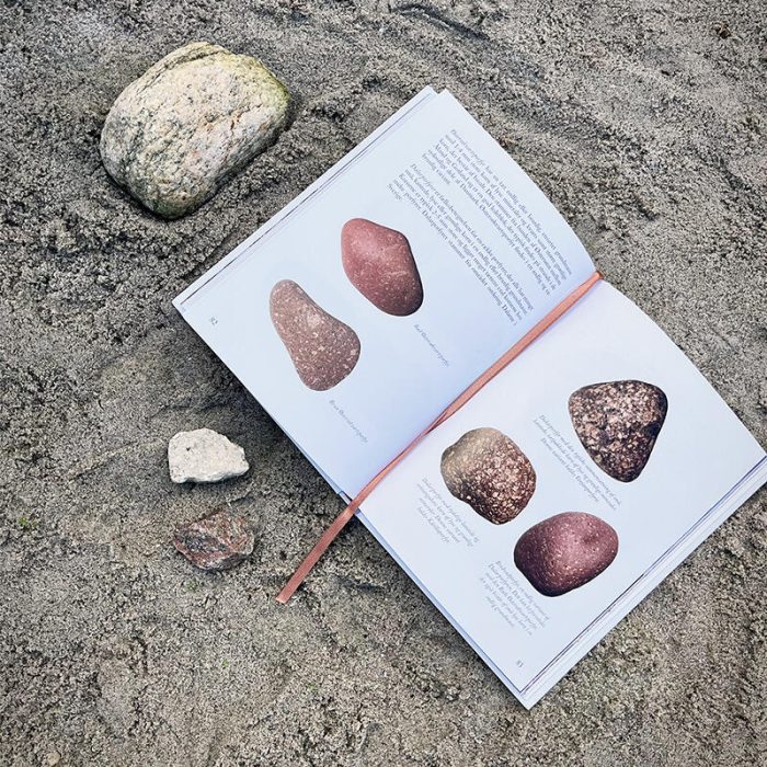 bog-sten-langs-stranden1