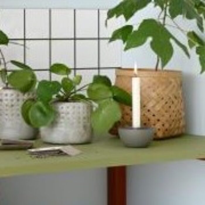 stage-skaalformet-stoevgroen1