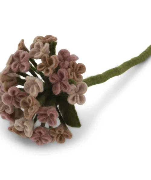hortensia-rosa-lang