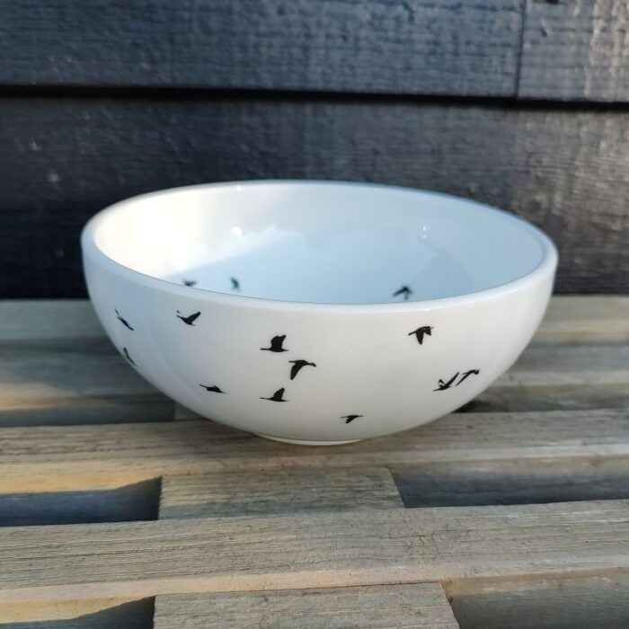 skaal-med-fugle2