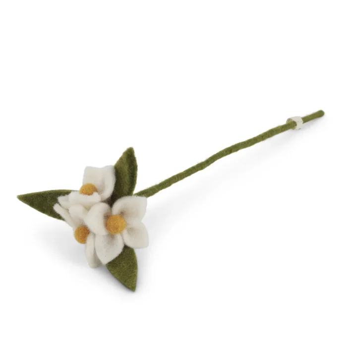 11735-blomst-paa-gren-hvid