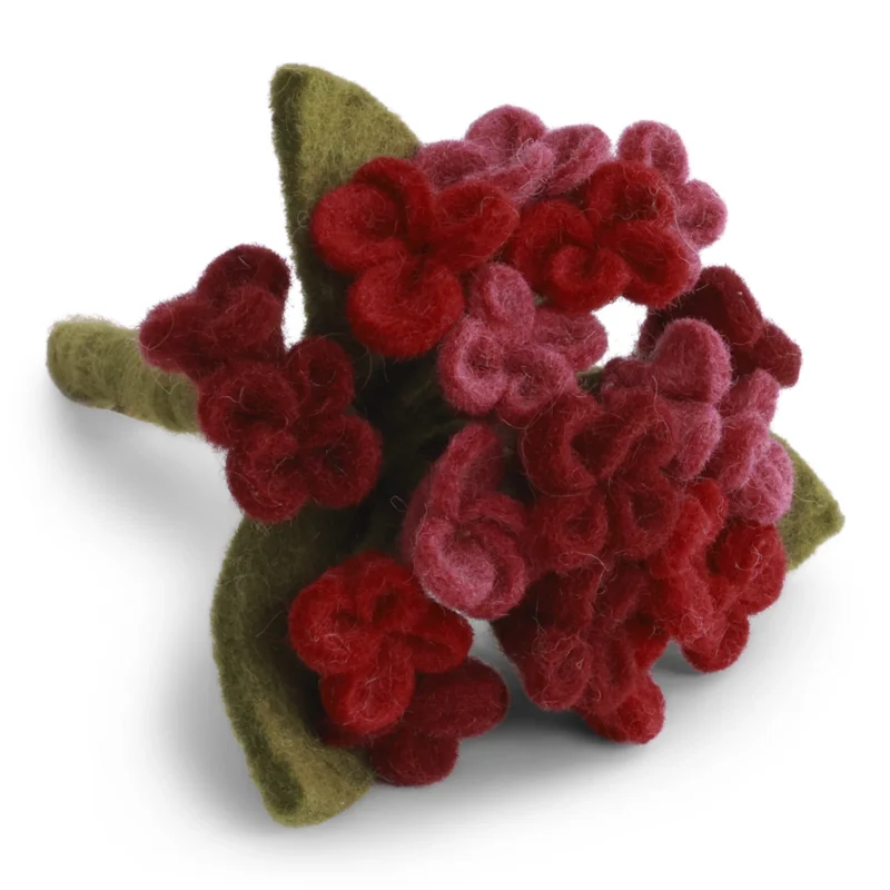 15926-hortensia-lille-roed